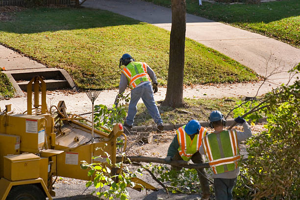 Tree Removal for Businesses in Center Point, AL